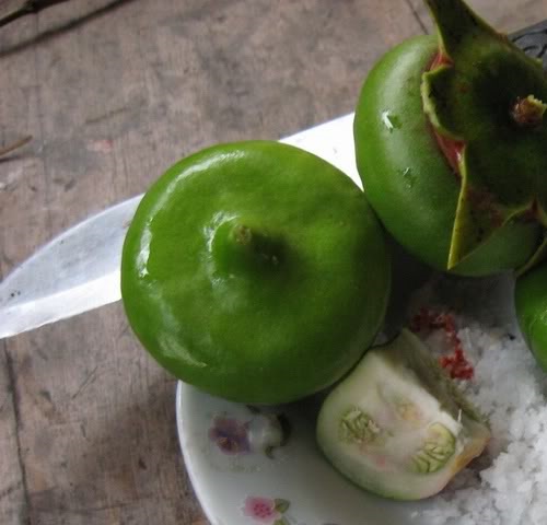nhungmonngontuban