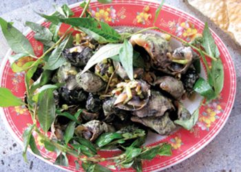 Ocgungquangngai
