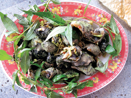 Ocgungquangngai