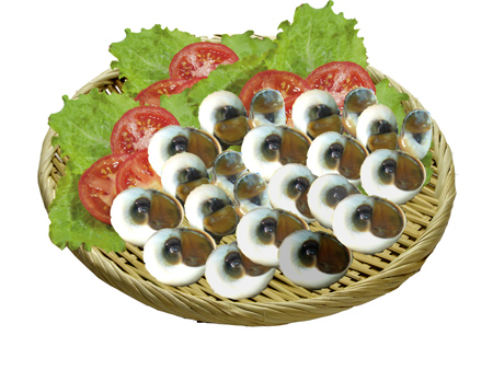 Ocmo1 1