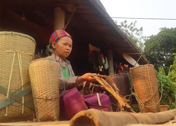 Phattriennghedanlat 1