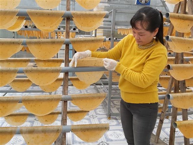 phongtomdatmui1
