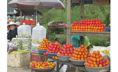 quahongdalat