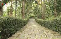Thamquanlangcoxuquang 1