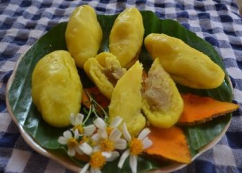 Thomngonbanhnghethaibinh 1