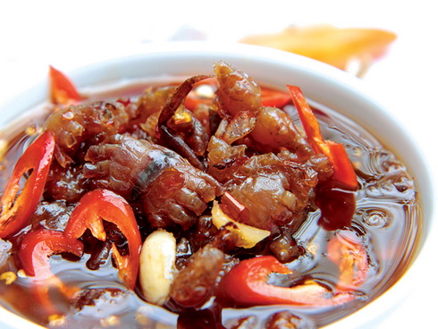 tiengiangmamcong