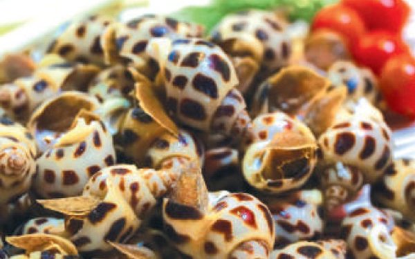 Vemientrungthuongthucocbien 1