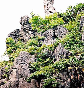 0 Aa A1nuivongphu