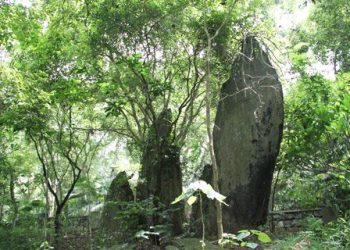 0 Aa Anhungtangdachong