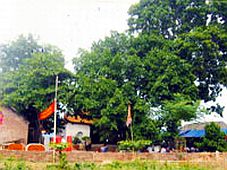 0tamphu