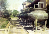 1 Cdh 1