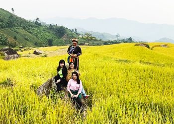 101 Huong Nep Phieng Phang Bac Kan
