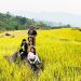 101 Huong Nep Phieng Phang Bac Kan