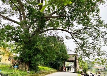 111cuoi Tuan Ve Lang Co Duong Lam
