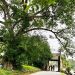 111cuoi Tuan Ve Lang Co Duong Lam