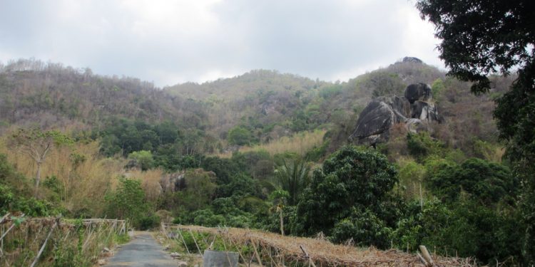119kham Pha Ngoa Long Son 1