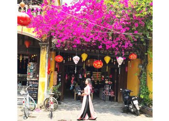 124pho Hoi Mua Hoa Giay