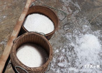 127 Quang Ngai Phat Hien Noi Lam Muoi Cua Nguoi Sa Huynh 1