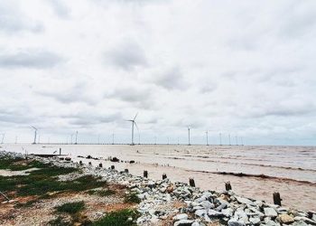 1412vi Vu Giua Canh Dong Dien Gio