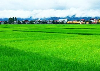 158tren Dong Xanh Bat Ngat