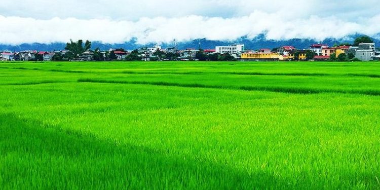 158tren Dong Xanh Bat Ngat