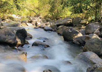 166hoa Minh Vao Thien Nhien O Suoi Hop Hai