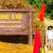 1710tham Dia Dao Khu Uy