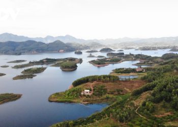 175tuyet Tac Cam Son Ha Long Tren Can Cua Bac Giang
