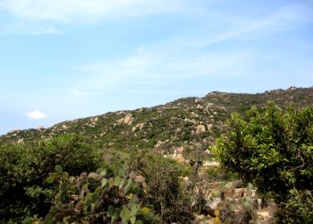 1810kham Pha Vuon Quoc Gia Nui Chua 1
