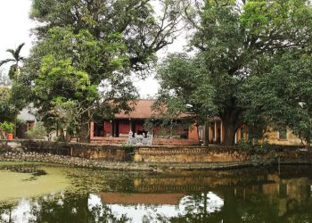 183doc Dao Dinh Cu Son Trung