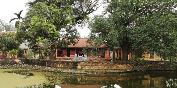 183doc Dao Dinh Cu Son Trung