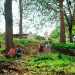 198 Khoanh Vung Bao Ve 45 Diem Di Tich Cua Chien Truong Dien Bien Phu