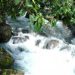 1 Quangbinh 1