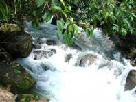 1 Quangbinh 1