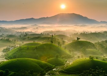 209 Den Viet Nam Bat Dau Tu Phu Tho 1