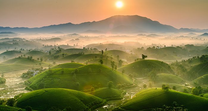 209 Den Viet Nam Bat Dau Tu Phu Tho 1