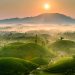 209 Den Viet Nam Bat Dau Tu Phu Tho 1