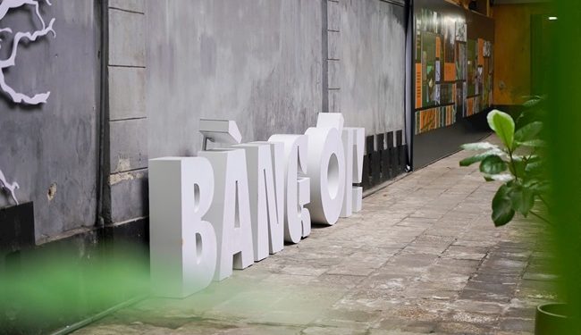 210 Ha Noi Trung Bay 3d Ve Cay Bang Tai Di Tich Nha Tu Hoa Lo 1