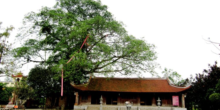 213nhung Bao Vat Quoc Gia O Vung Dat To 1