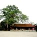 213nhung Bao Vat Quoc Gia O Vung Dat To 1