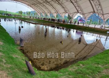 238bai Coc Cao Quy Dia Chi Do Giao Duc Truyen Thong Cach Mang