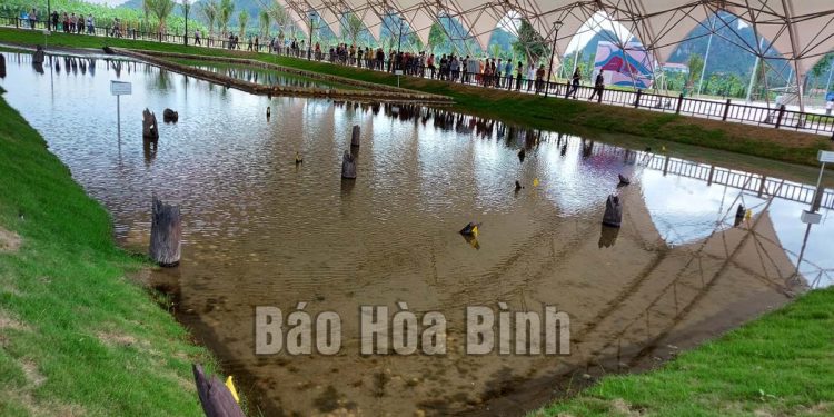 238bai Coc Cao Quy Dia Chi Do Giao Duc Truyen Thong Cach Mang