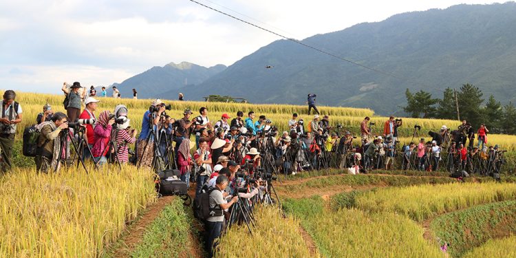 239 Hap Dan Du Lich Mua Vang Mu Cang Chai Yen Bai