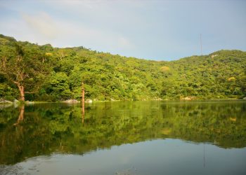 242du Ngoan Rung Cu Lao Cham 1