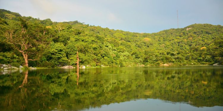 242du Ngoan Rung Cu Lao Cham 1