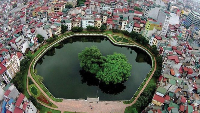 248giu Gin Vien Ngoc Ho Van