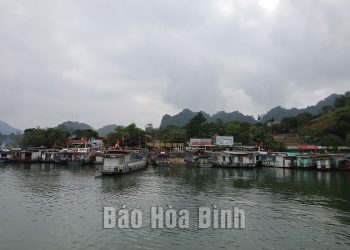 2510kham Pha Thung Nai