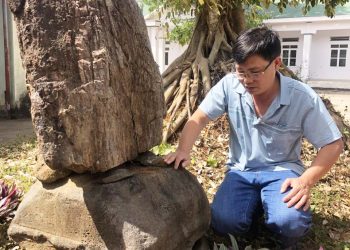 252gia Lai Thap Rong Yang Phe Tich Cham O Pho Nui