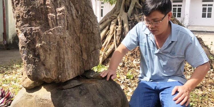 252gia Lai Thap Rong Yang Phe Tich Cham O Pho Nui