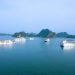 253tu Hao Diem Den Vinh Ha Long
